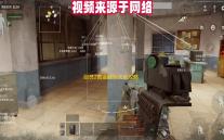 剑灵2黄金龇牙犬全攻略 欧皇玄学抽卡+满星养成秘籍